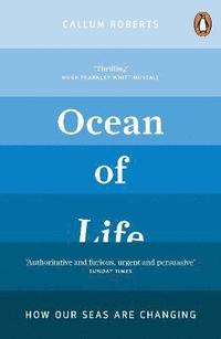 bokomslag Ocean of Life