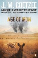 bokomslag Age of Iron