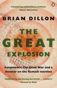 bokomslag The Great Explosion