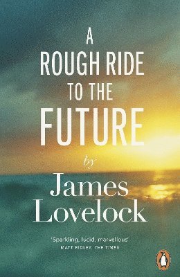 A Rough Ride to the Future 1