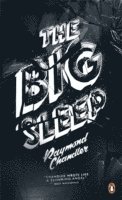 Raymond Chandler - Big Sleep, Häftad