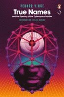 Vernor Vinge - True Names, Häftad