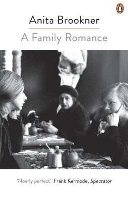 Anita Brookner - A Family Romance, Häftad