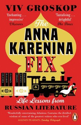 bokomslag The Anna Karenina Fix