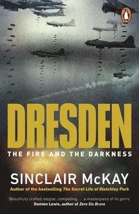 bokomslag Dresden: The Fire and the Darkness
