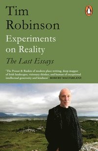 bokomslag Experiments on Reality