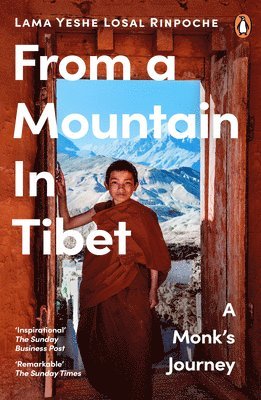 From a Mountain In Tibet 1