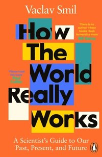 bokomslag How the World Really Works: A Scientist's Guide to Our Past, Present and Future