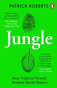 bokomslag Jungle
