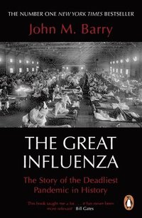 bokomslag The Great Influenza