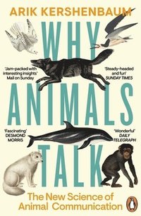 bokomslag Why Animals Talk