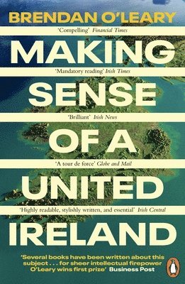 bokomslag Making Sense of a United Ireland