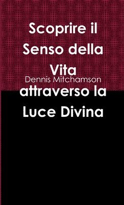 bokomslag Scoprire il Senso della Vita attraverso la Luce Divina