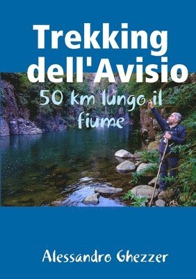 bokomslag Trekking dell'Avisio