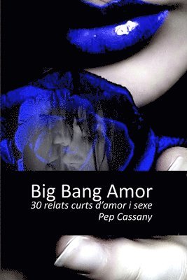 bokomslag Big bang amor