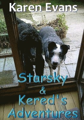 Starsky & Kered's Adventures 1