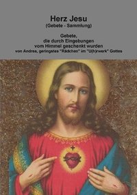 bokomslag Herz Jesu (Gebete - Sammlung)