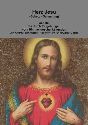 bokomslag Herz Jesu (Gebete - Sammlung)