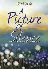 bokomslag Picture of Silence
