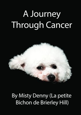 Misty Denny - Journey Through Cancer, Häftad