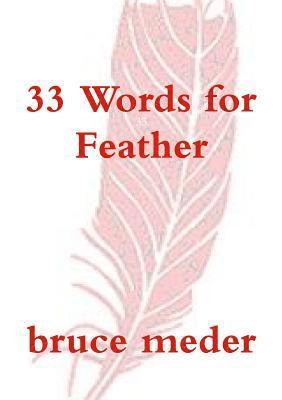 bokomslag 33 Words for Feather
