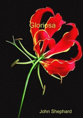 bokomslag Gloriosa