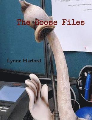 bokomslag Goose Files