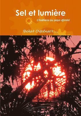 Beñat Oyhénart, Beñat - Sel et lumière, Häftad