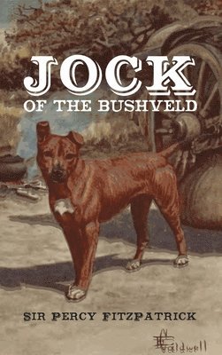 bokomslag Jock of the Bushveld