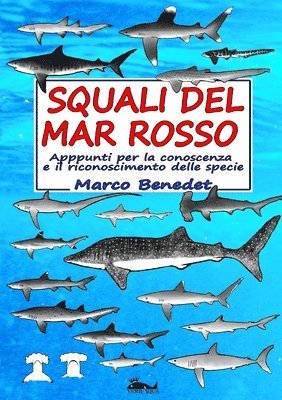 Squali del Mar Rosso 1