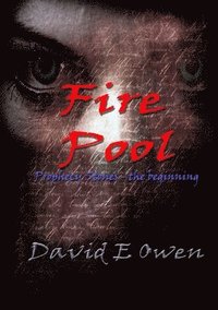 bokomslag Fire Pool