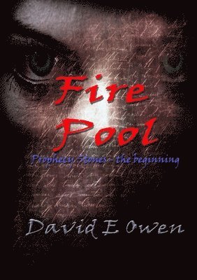 David Owen - Fire Pool, Häftad
