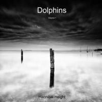 bokomslag Dolphins - Volume 1