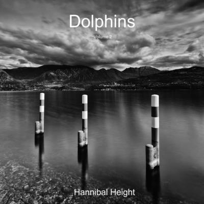 Dolphins - Volume 2 1