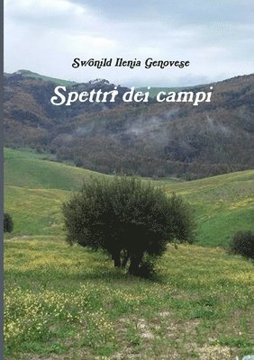 bokomslag Spettri dei campi