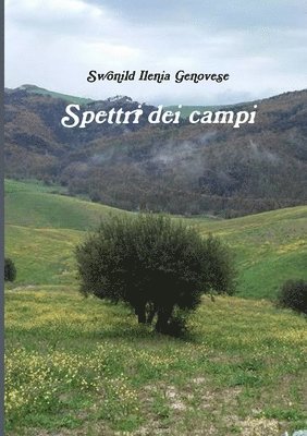 Spettri dei campi