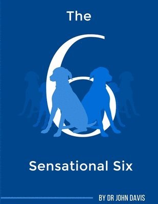 John Davis - Sensational Six, Häftad