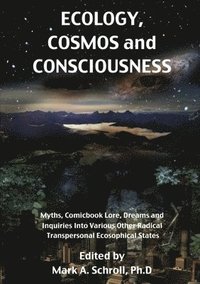 bokomslag Ecology, Cosmos and Consciousness