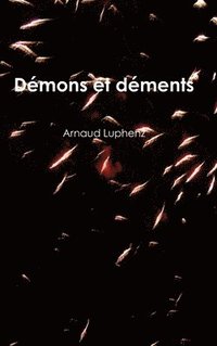 bokomslag Démons et déments