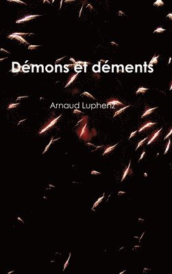 bokomslag Démons et déments