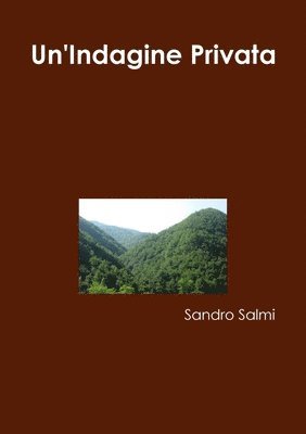Sandro Salmi - Un'Indagine Privata, Häftad