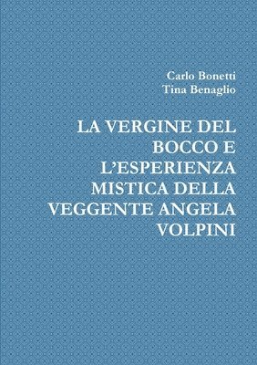 bokomslag Vergine del Bocco E l'Esperienza Mistica Della Veggente Angela Volpini