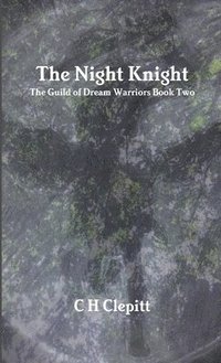 bokomslag The Night Knight