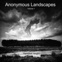 bokomslag Anonymous Landscapes - Volume 1