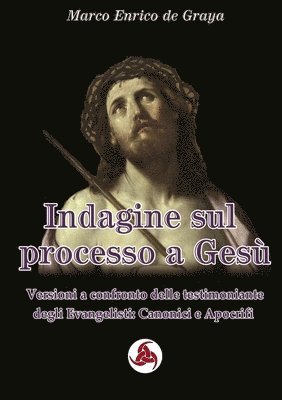 bokomslag Indagine sul processo a Ges