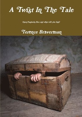 bokomslag Twist In The Tale