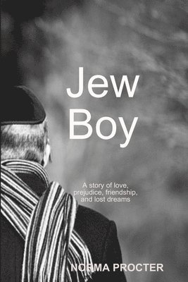 bokomslag Jew Boy