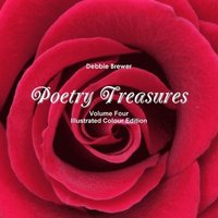 bokomslag Poetry Treasures - Volume Four
