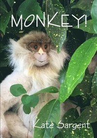 bokomslag Monkey