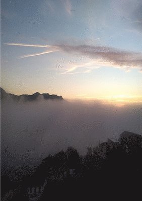 noche es para viajar en sofá